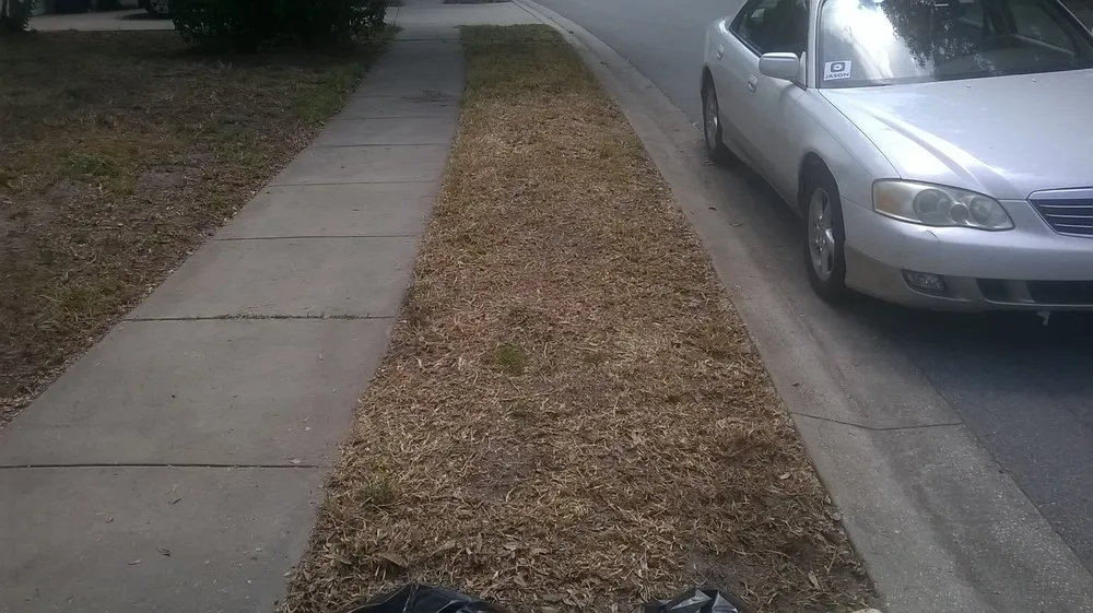 Custom lawn care service in Ellenton, FL - Mercy Landscaping