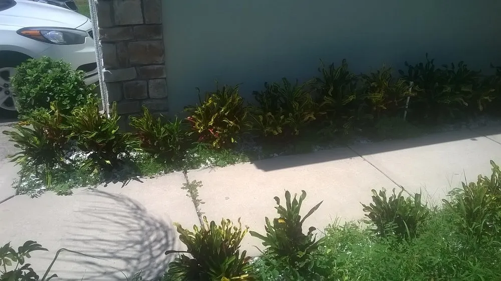 Top-rated garden landscaping in Ellenton, FL - Mercy Landscaping