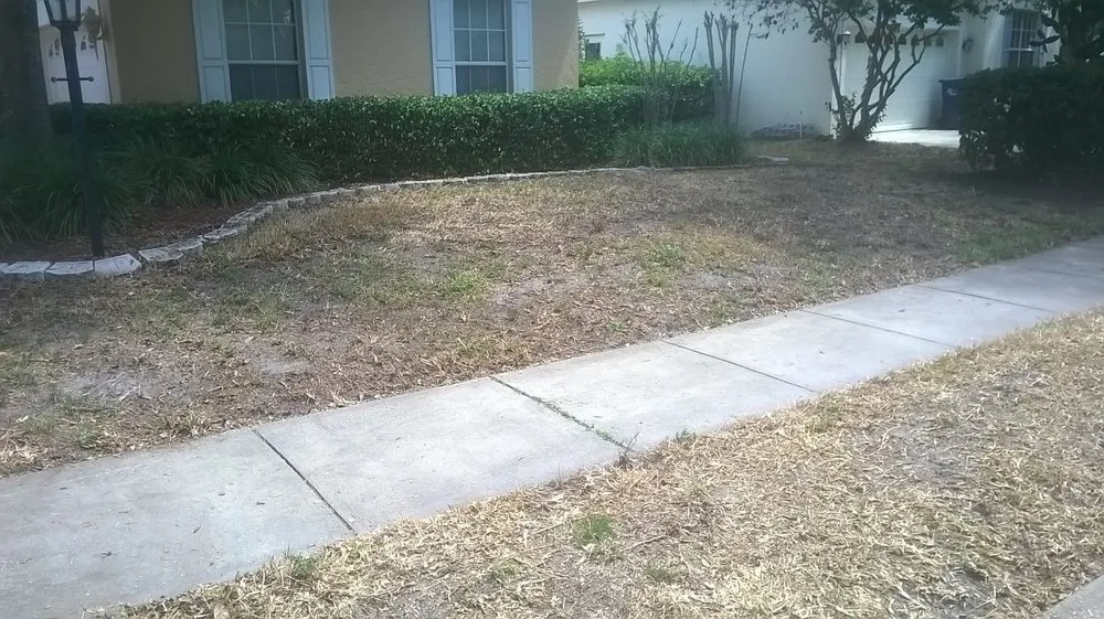 Affordable yard cleanup service for homes in Ellenton, FL by Mercy Landscaping