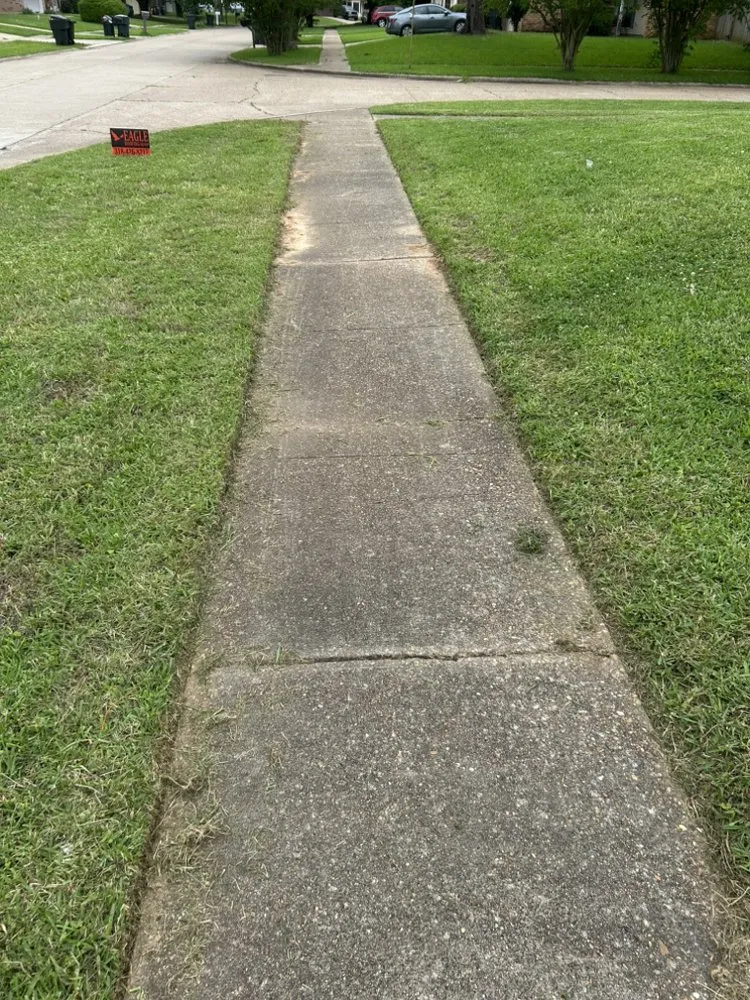 Top-rated lawn care service experts serving Keithville, LA - Merello Pros