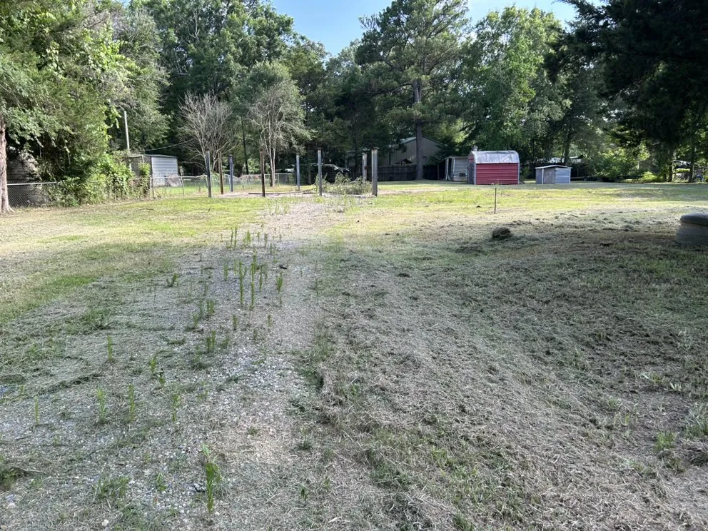 Trusted yard maintenance experts serving Keithville, LA - Merello Pros