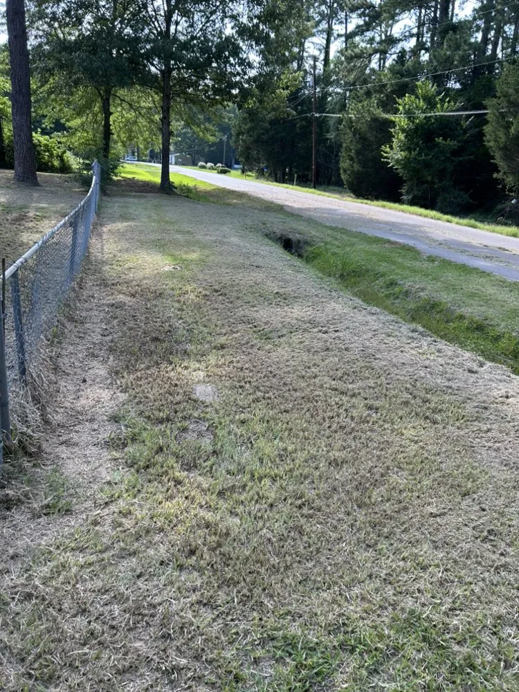 Trusted landscape installation in Keithville, LA by Merello Pros