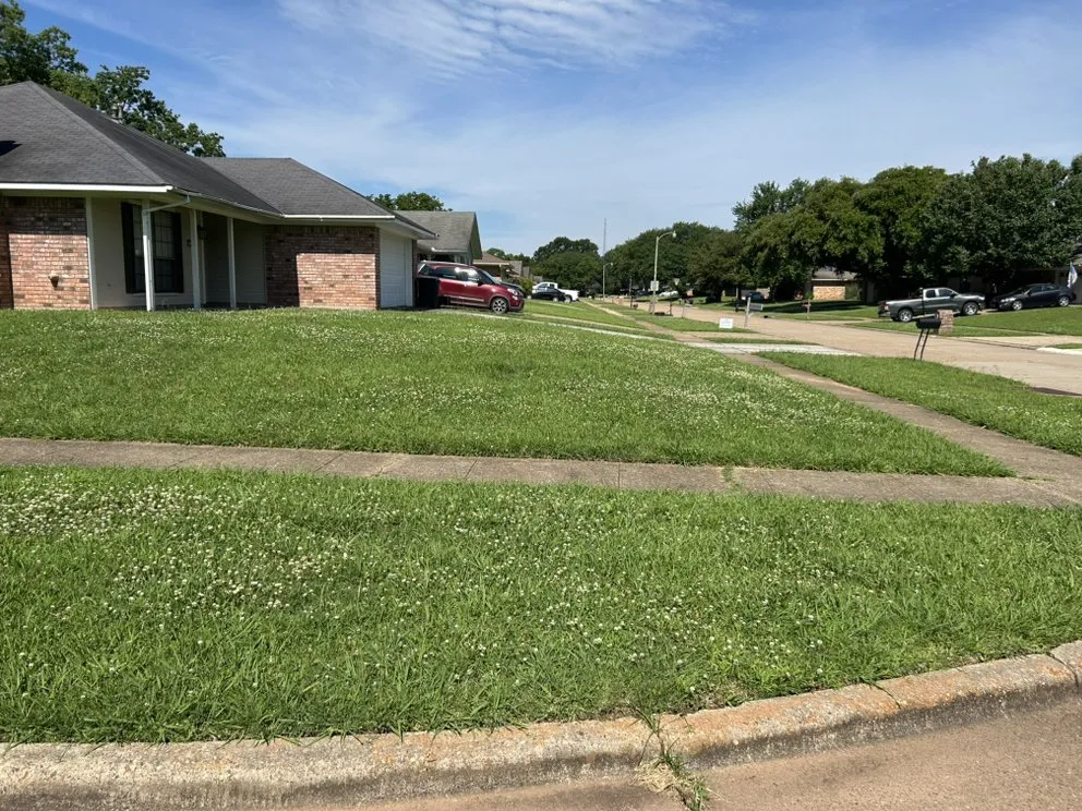 Affordable landscape installation in Keithville, LA by Merello Pros