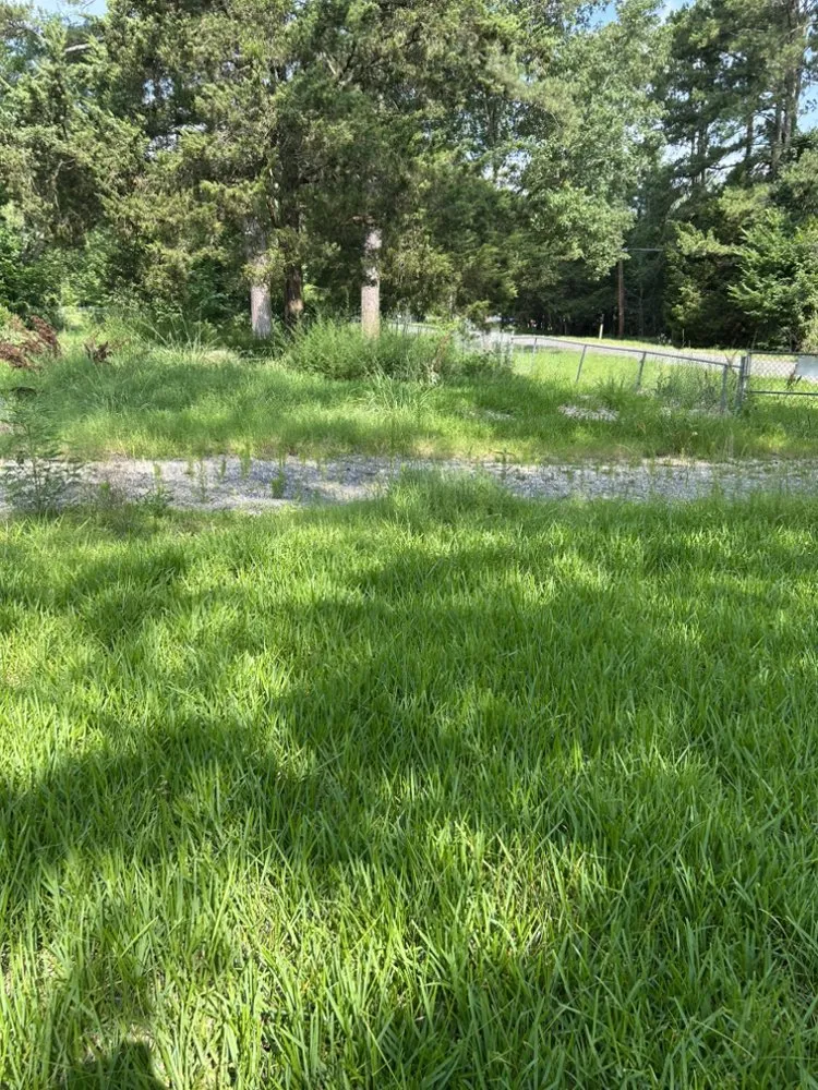 Top-rated outdoor landscaping in Keithville, LA by Merello Pros
