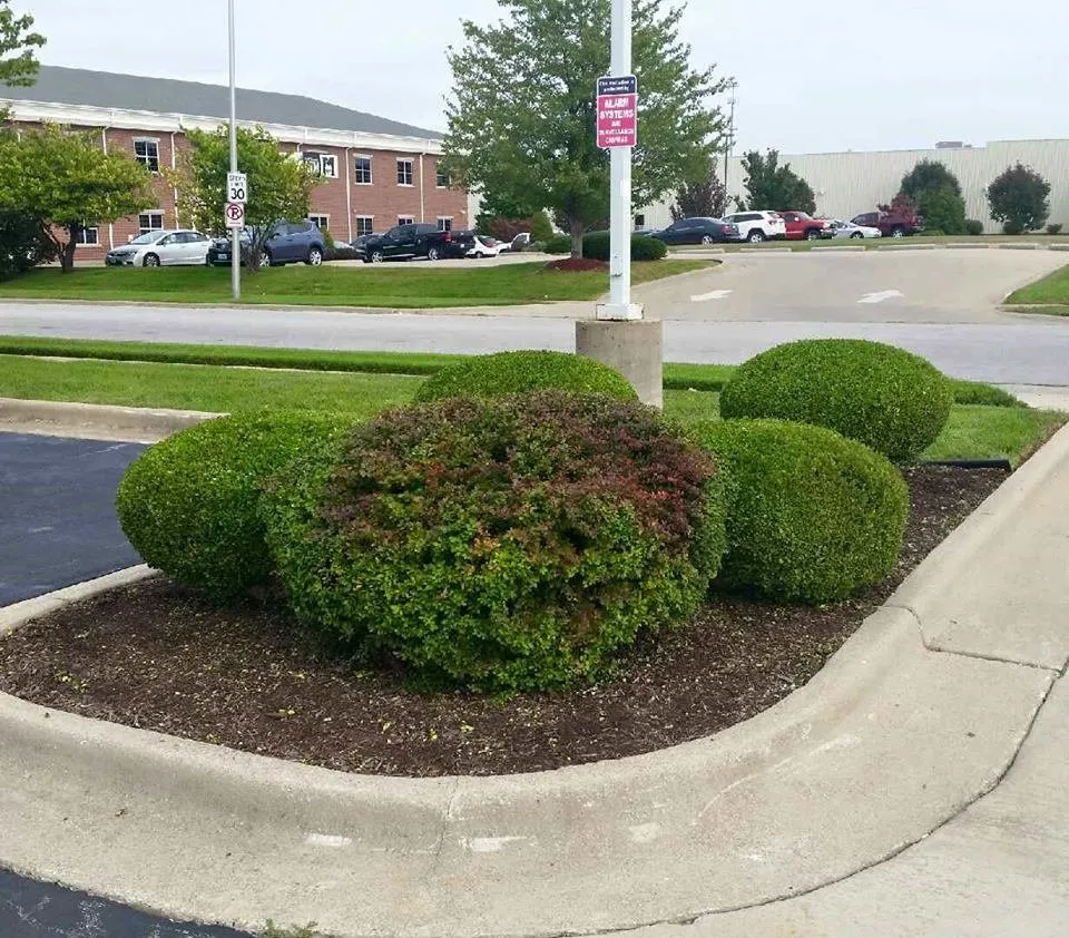 Local outdoor landscaping in Springfield, MO - Meric Landscaping and Lawn Care
