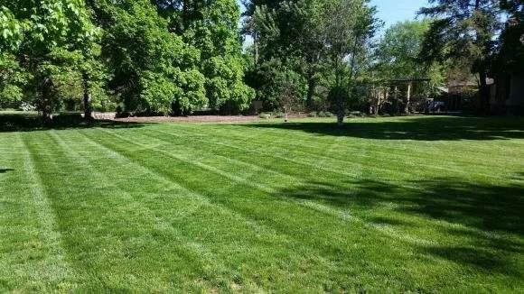 Local landscape installation in Springfield, MO by Meric Landscaping and Lawn Care