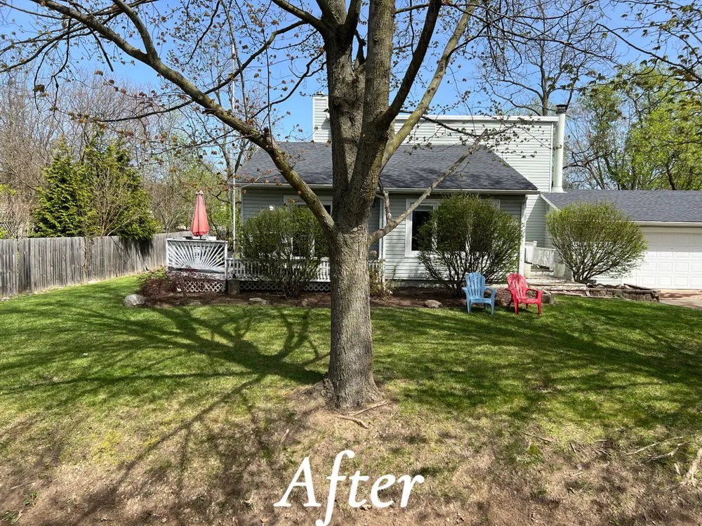 Affordable landscape installation for residential properties across Commerce Township, MI - Merida's Junk Removal & Services