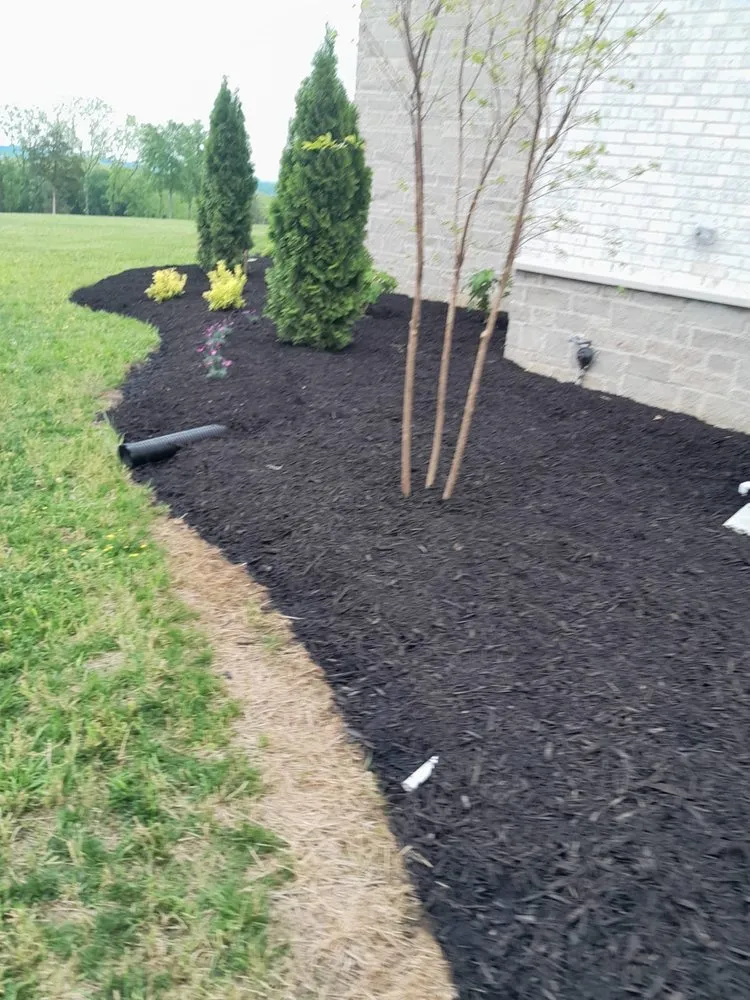 Expert landscaping services in Goodlettsville, TN by Merida’s Landscaping And Home Repairs