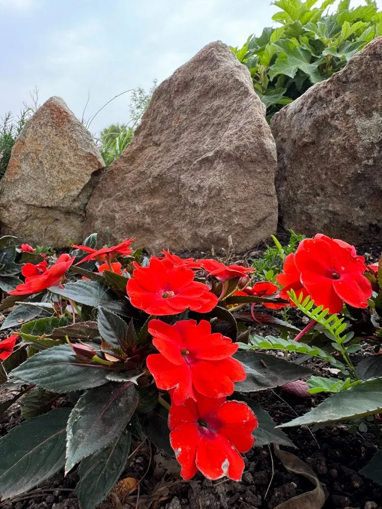 Professional landscape installation experts serving Meridian, ID - Meridian Curbing & Landscape