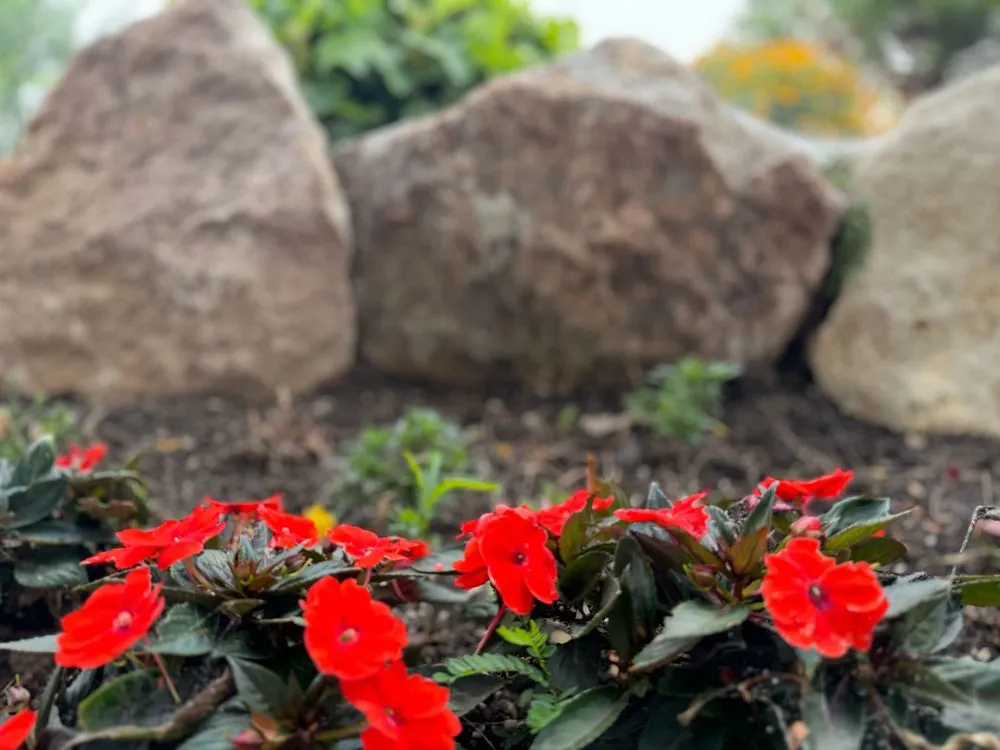 Reliable garden landscaping for residential properties in Meridian, ID by Meridian Curbing & Landscape