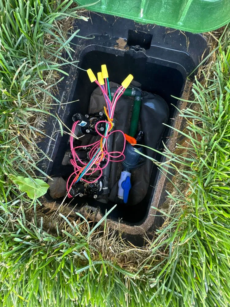 Trusted yard cleanup service experts serving Meridian, ID - Meridian Curbing & Landscape