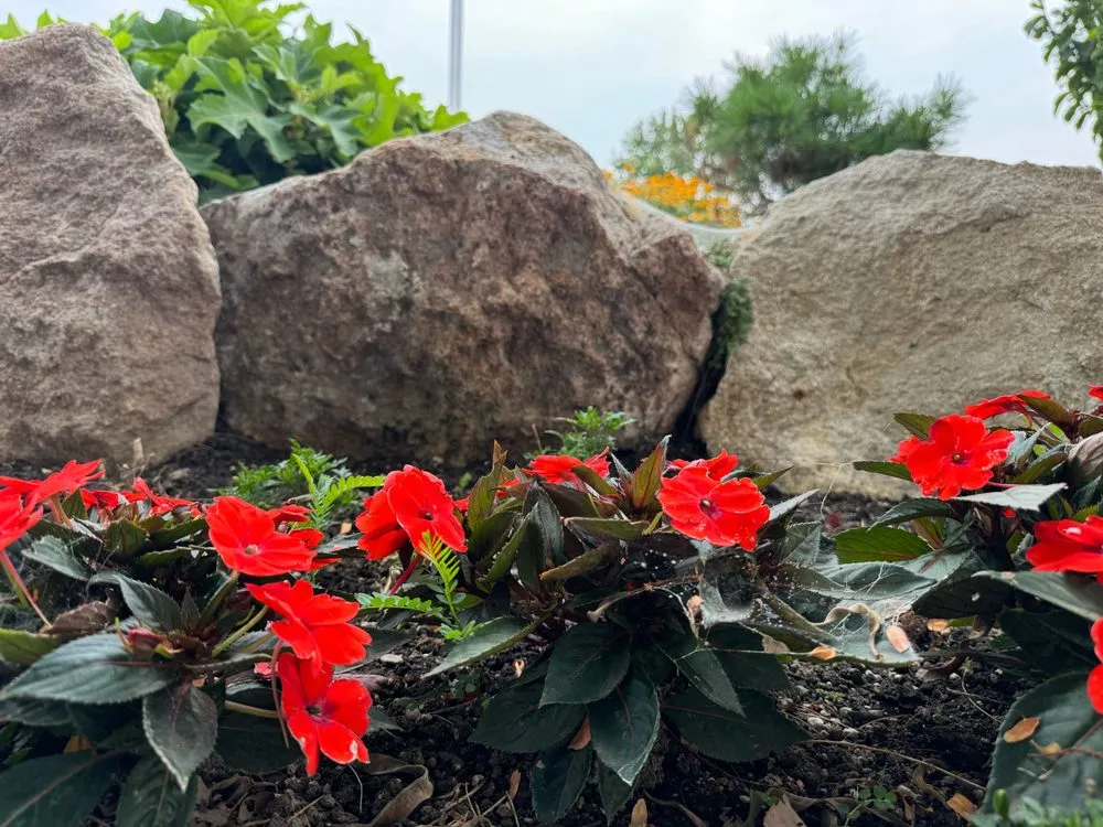 Local residential landscaping in Meridian, ID - Meridian Curbing & Landscape