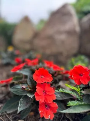 Meridian Curbing & Landscape