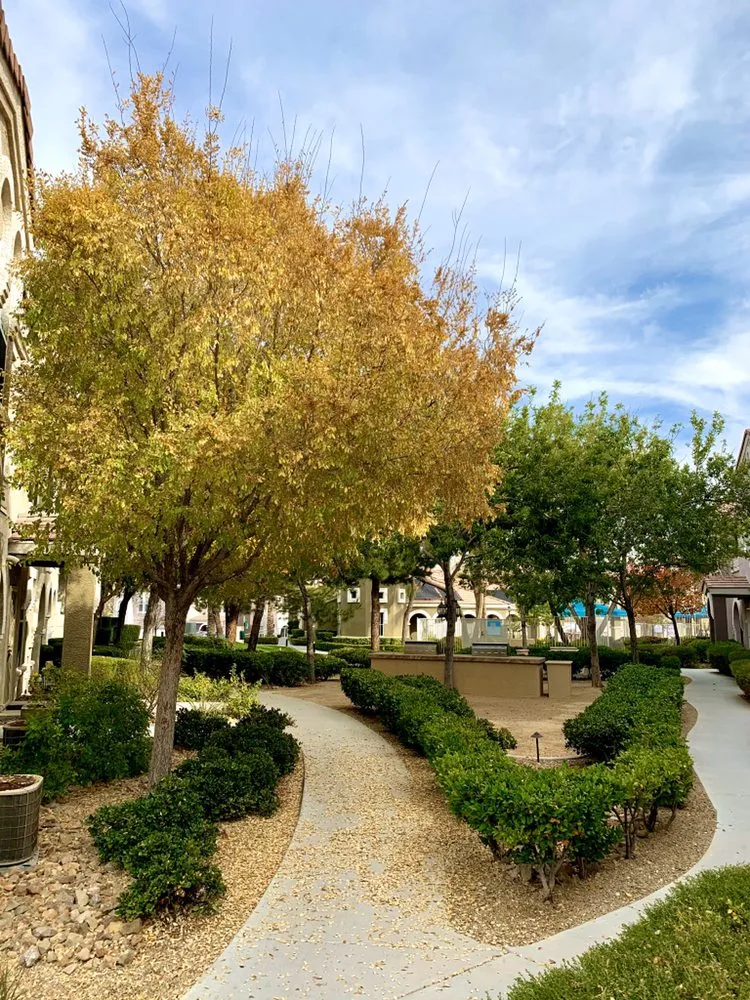 Trusted landscaping services with custom design in Las Vegas, NV by Meridian Landscape