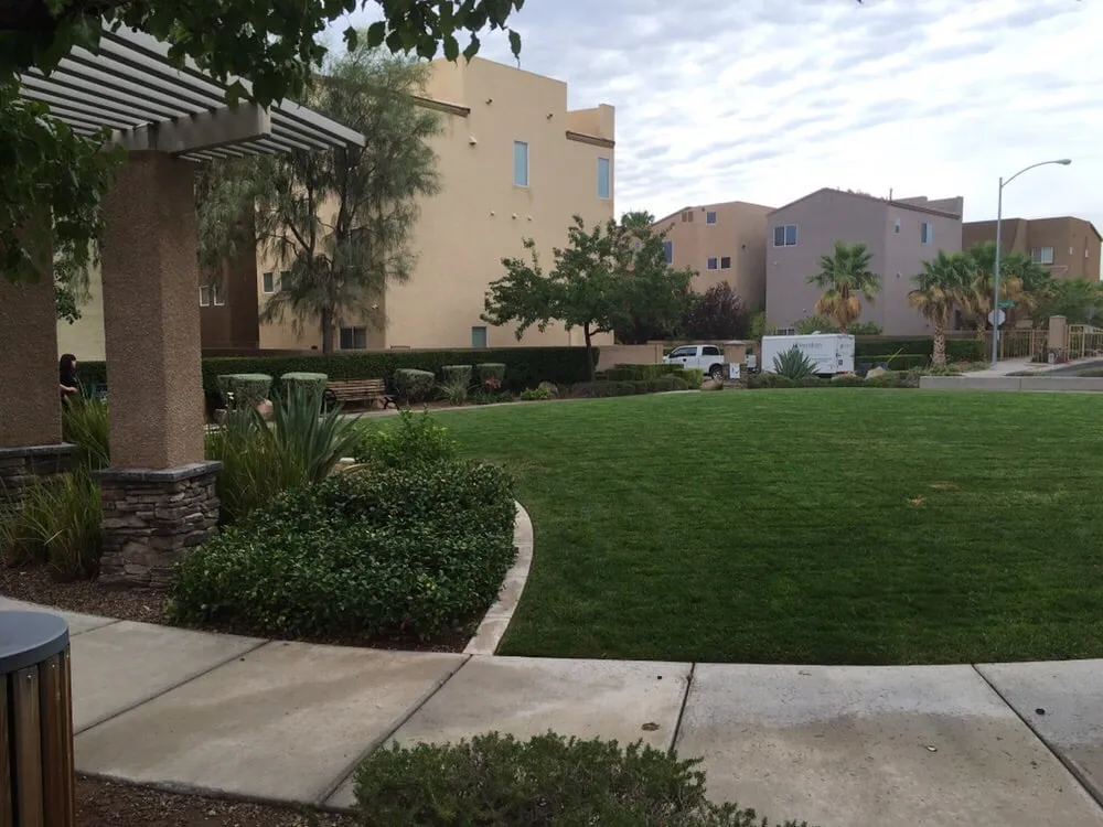 Local outdoor landscaping in Las Vegas, NV by Meridian Landscape