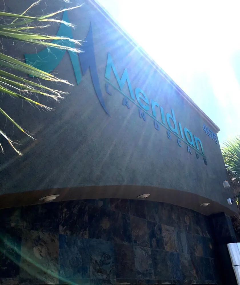 Trusted yard cleanup service with custom design across Las Vegas, NV - Meridian Landscape