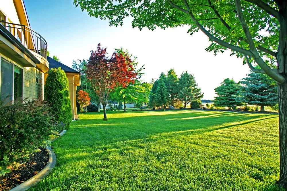 Custom lawn mowing service in Meridian, ID by Meridian Lawn Pro