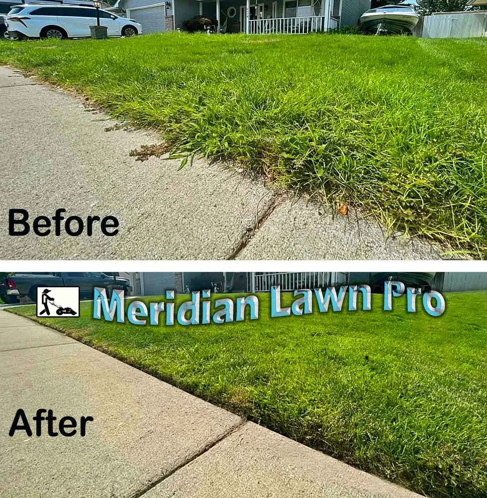 Professional landscape design for residential properties in Meridian, ID by Meridian Lawn Pro