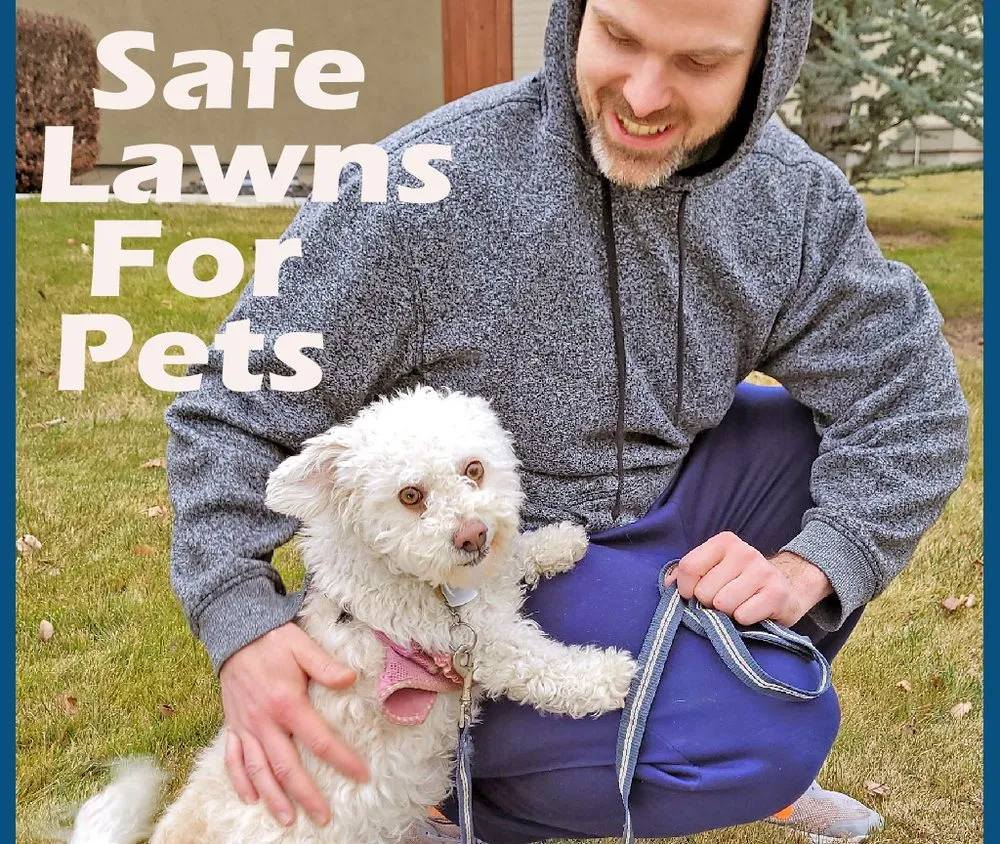 Trusted landscape design with custom design in Meridian, ID by Meridian Lawn Pro