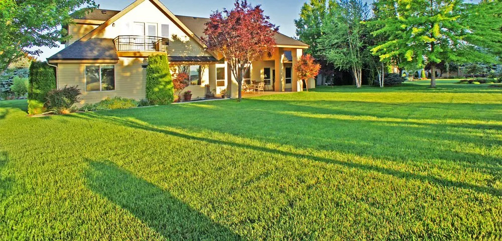 Trusted lawn mowing service in Meridian, ID - Meridian Lawn Pro