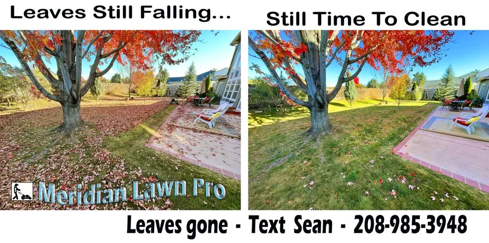 Professional lawn care service experts serving Meridian, ID - Meridian Lawn Pro