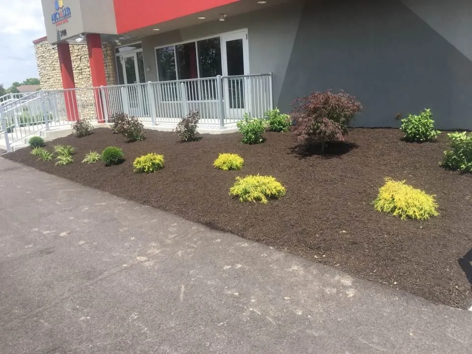 Expert outdoor landscaping for beautiful yards in Noblesville, IN by Merino Landscape