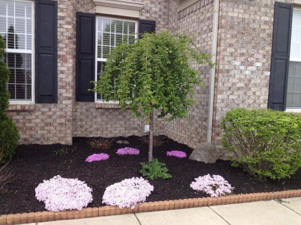 Top-rated lawn mowing service in Noblesville, IN by Merino Landscape