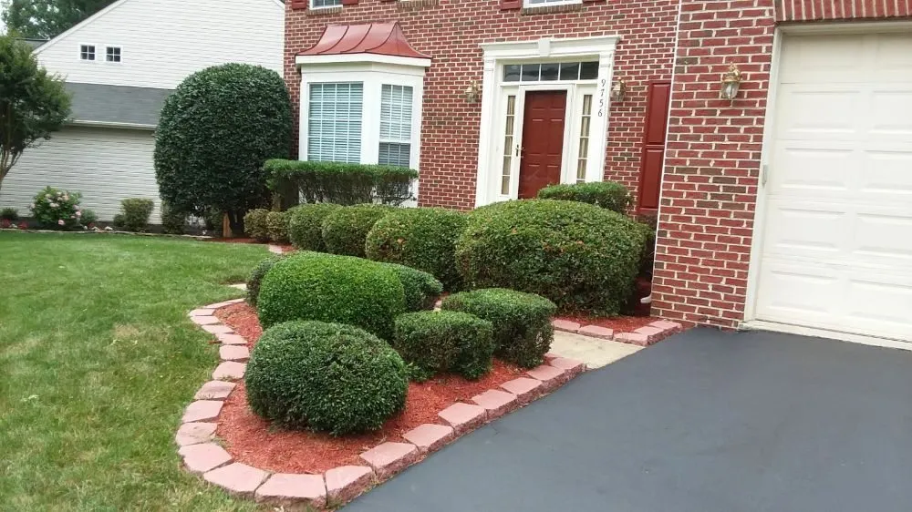 Professional garden landscaping with custom design in Alexandria, VA by MERINO LANDSCAPING & TREE SERVICE