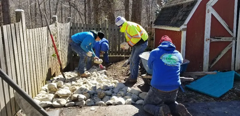 Reliable lawn mowing service near you in Alexandria, VA by MERINO LANDSCAPING & TREE SERVICE