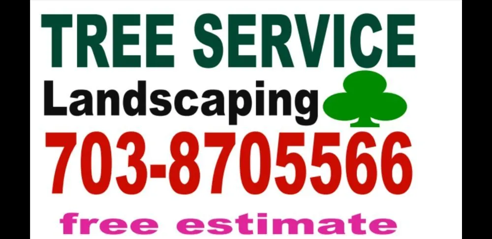 Reliable yard maintenance in Alexandria, VA - MERINO LANDSCAPING & TREE SERVICE