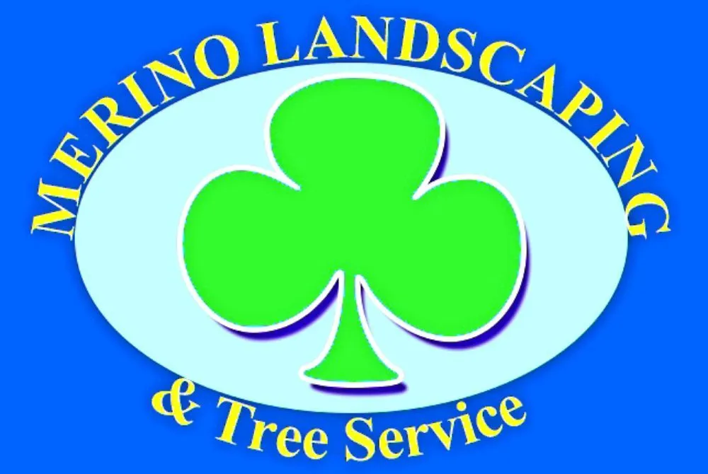Professional outdoor landscaping in Alexandria, VA - MERINO LANDSCAPING & TREE SERVICE