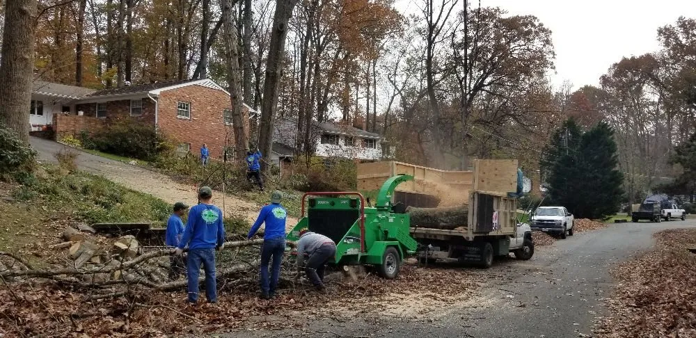 Local lawn mowing service near you across Alexandria, VA - MERINO LANDSCAPING & TREE SERVICE