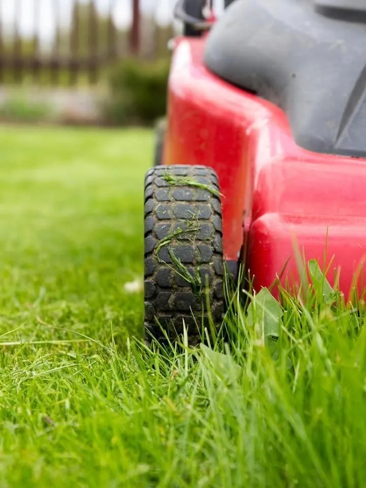 Custom lawn care service in Cypress, TX by Merino Lawn Care