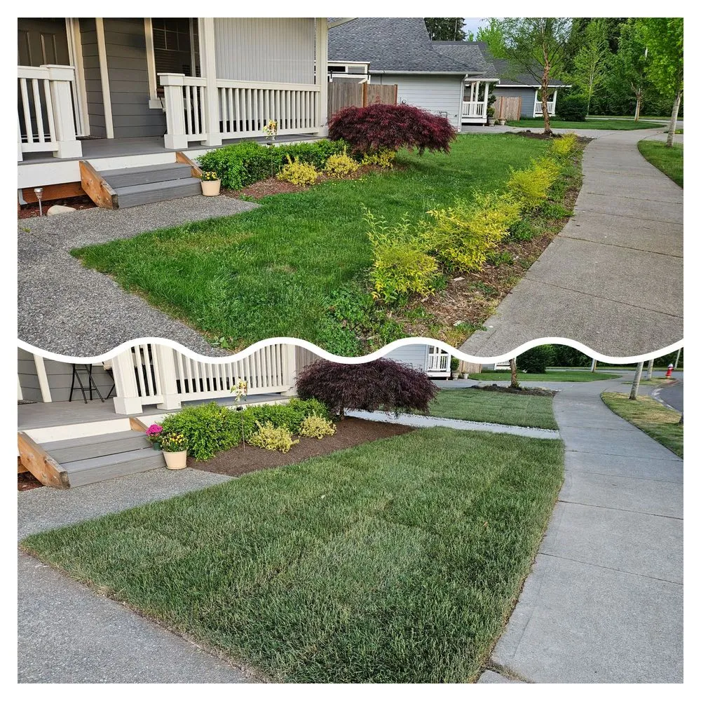 Custom lawn mowing service experts serving Bellevue, WA - Merino’s Landscaping
