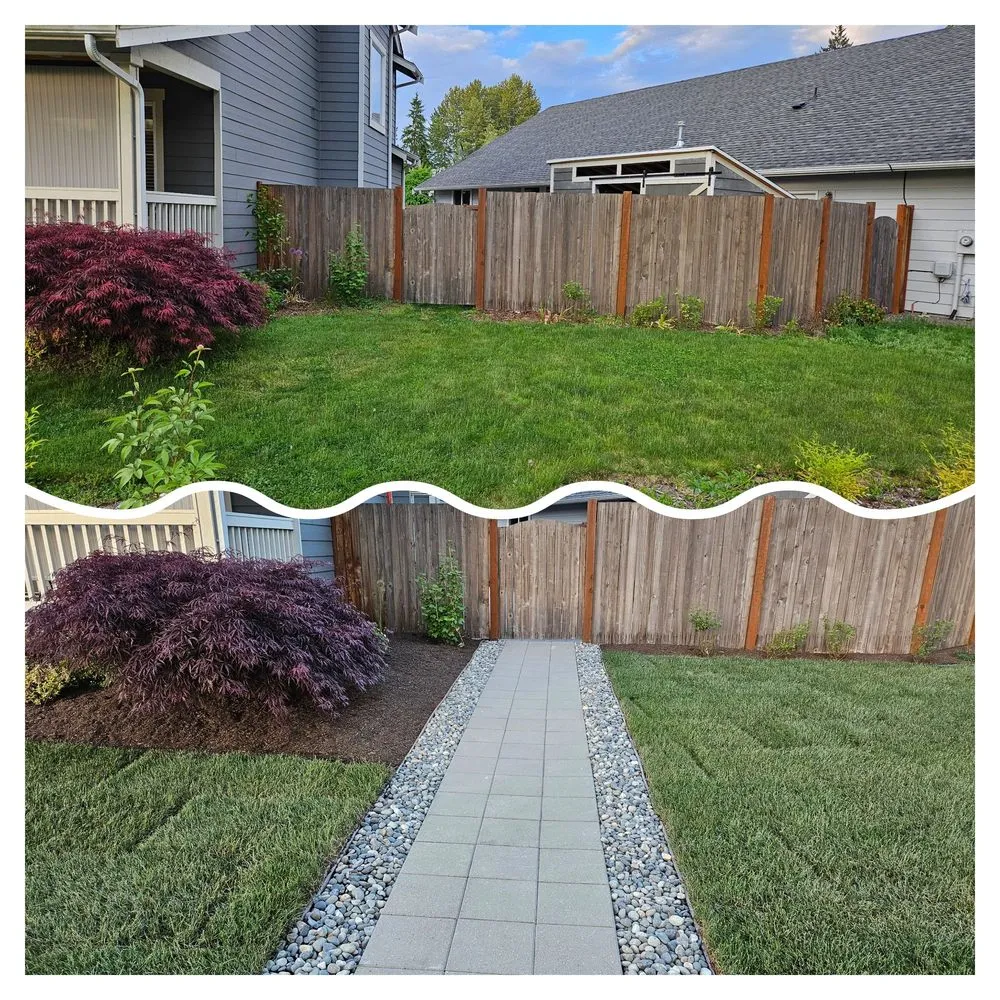 Expert yard maintenance in Bellevue, WA by Merino’s Landscaping