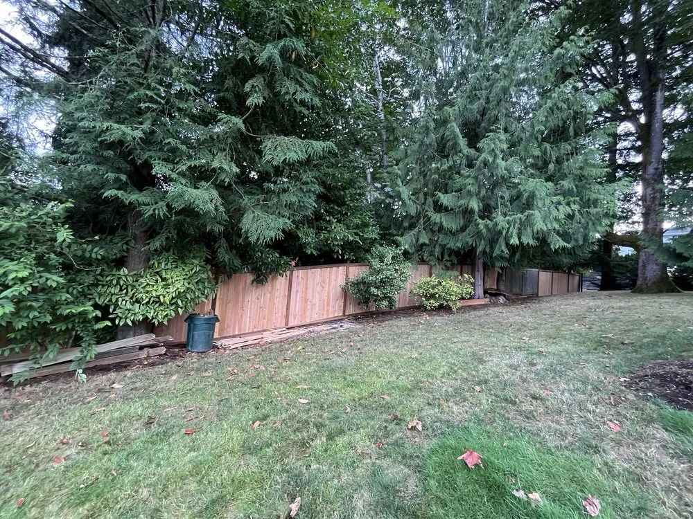 Trusted yard maintenance experts serving Bellevue, WA - Merino’s Landscaping