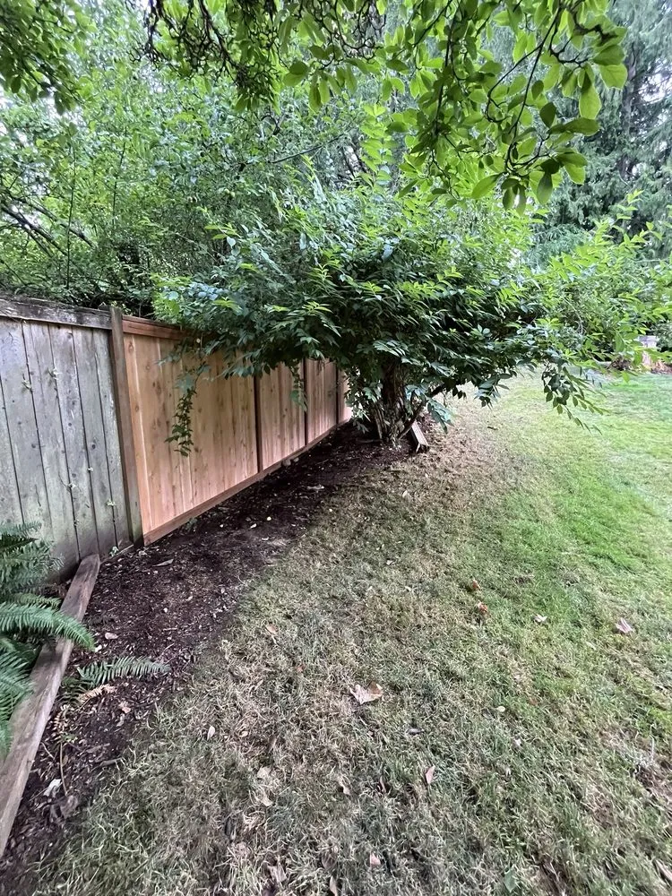 Top-rated outdoor landscaping experts serving Bellevue, WA - Merino’s Landscaping