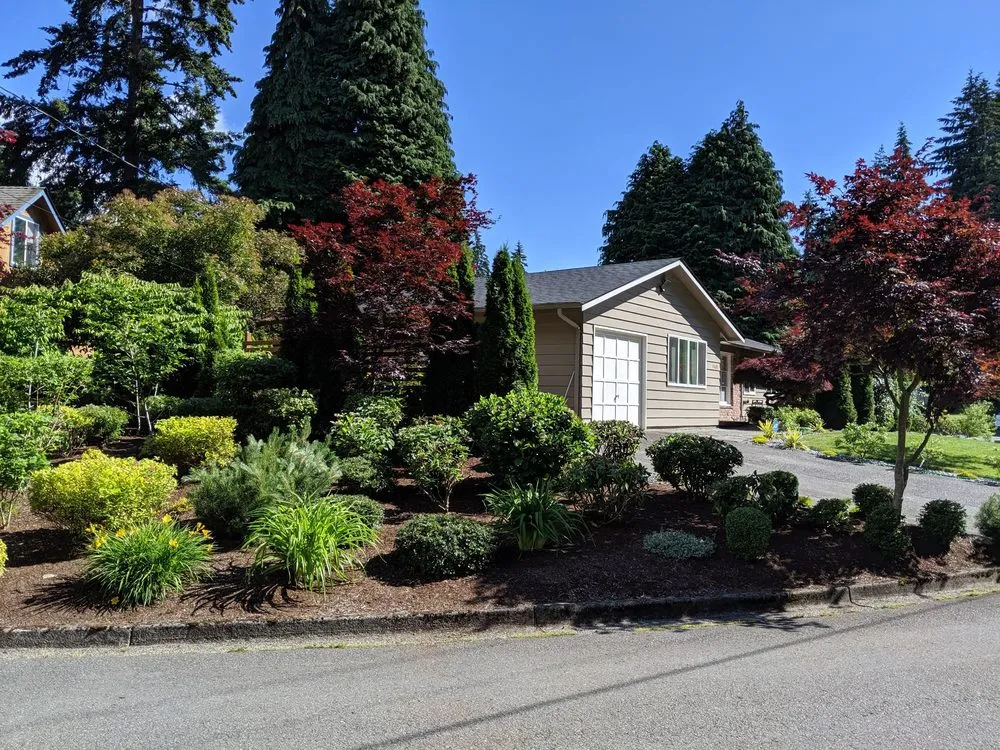 Professional outdoor landscaping experts serving Bellevue, WA - Merino’s Landscaping