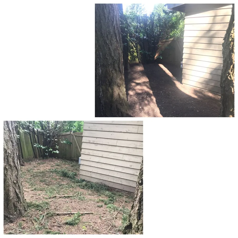 Top-rated landscape design with custom design in Bellevue, WA by Merino’s Landscaping