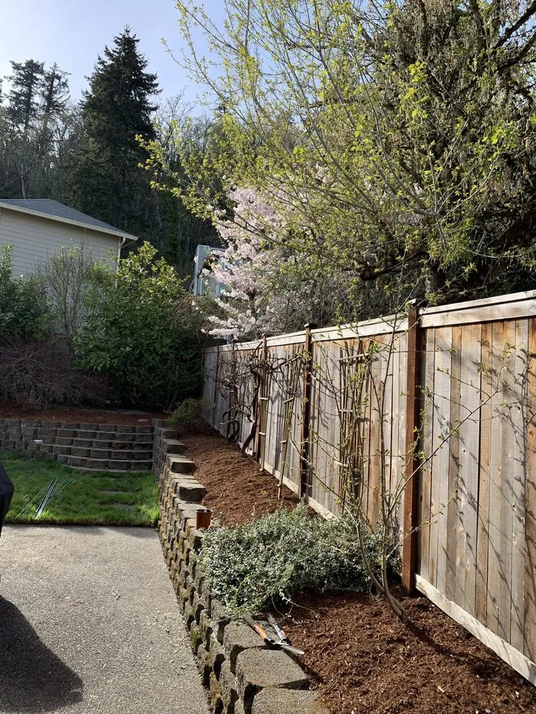 Local garden landscaping in Bellevue, WA by Merino’s Landscaping