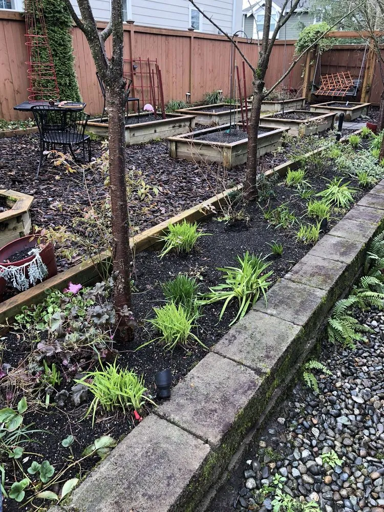 Affordable garden landscaping experts serving Bellevue, WA - Merino’s Landscaping