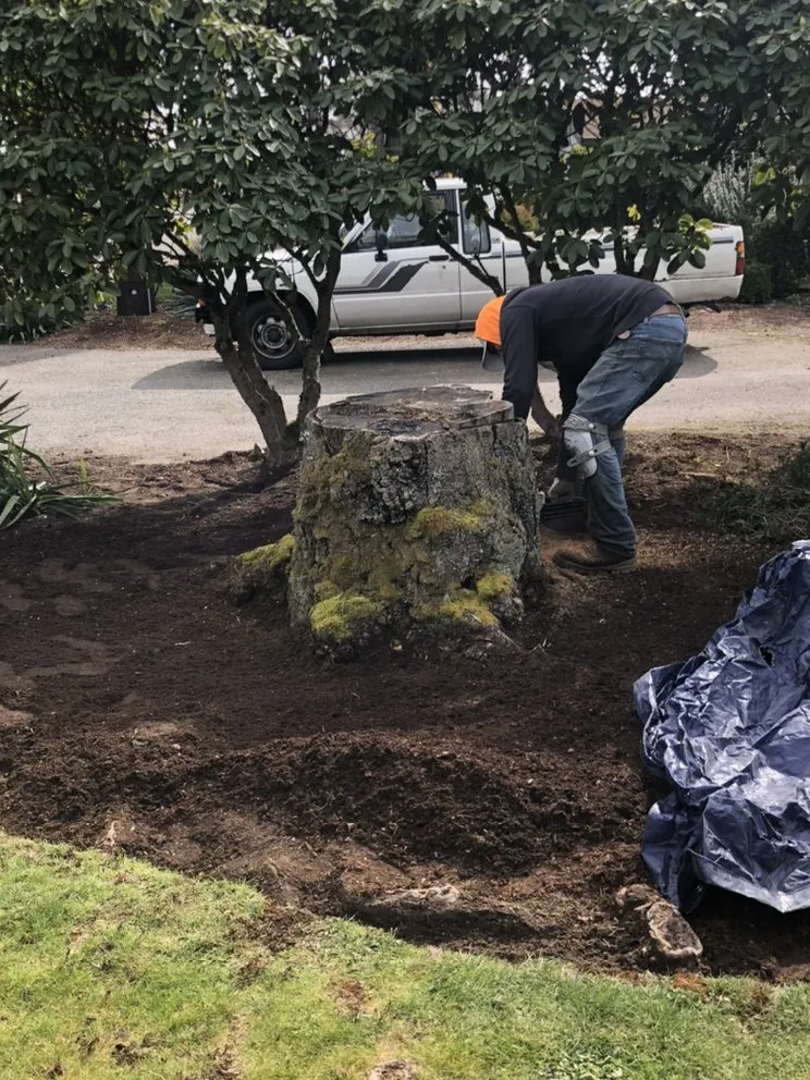 Affordable lawn mowing service in Bellevue, WA - Merino’s Landscaping