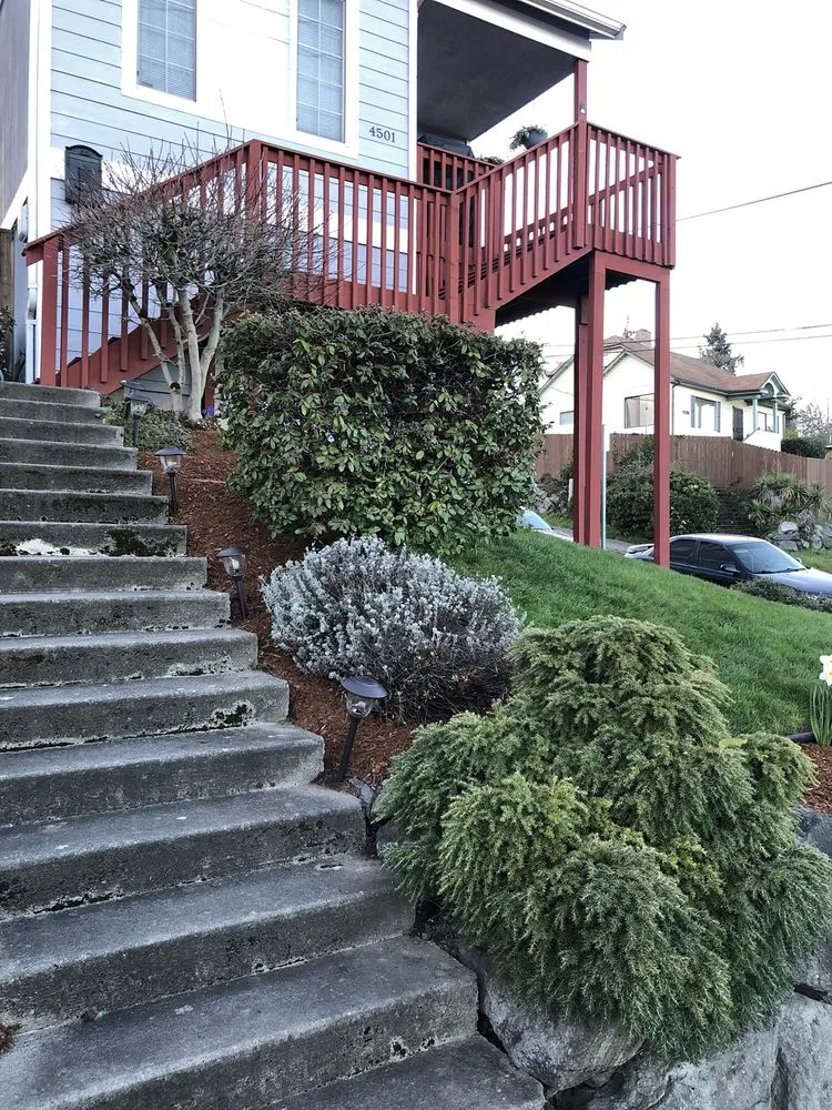 Affordable yard maintenance in Bellevue, WA by Merino’s Landscaping
