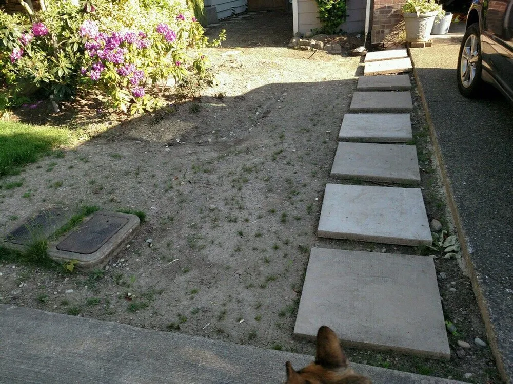 Expert landscaping services experts serving Bellevue, WA - Merino’s Landscaping