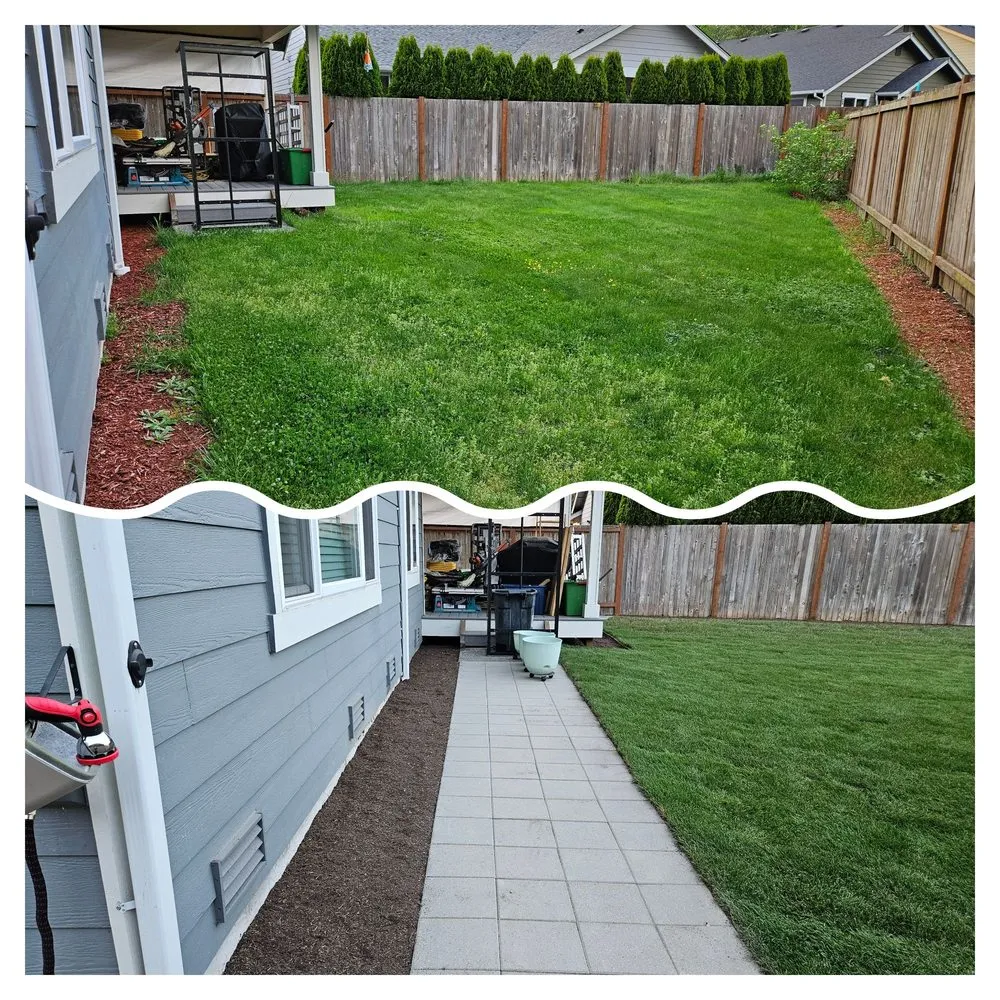 Professional landscaping services in Bellevue, WA by Merino’s Landscaping