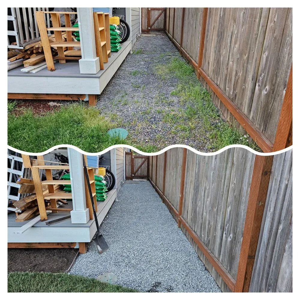 Expert landscaping services in Bellevue, WA - Merino’s Landscaping