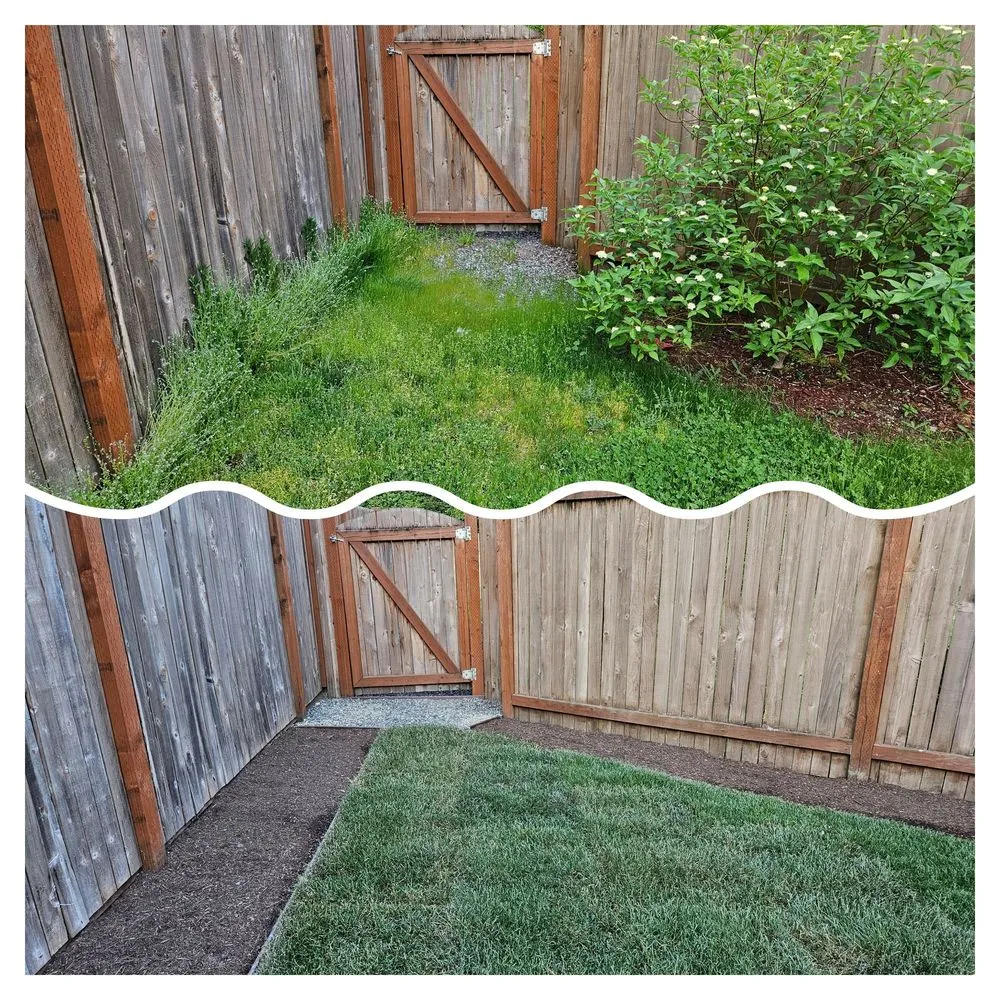 Top-rated landscaping services in Bellevue, WA - Merino’s Landscaping