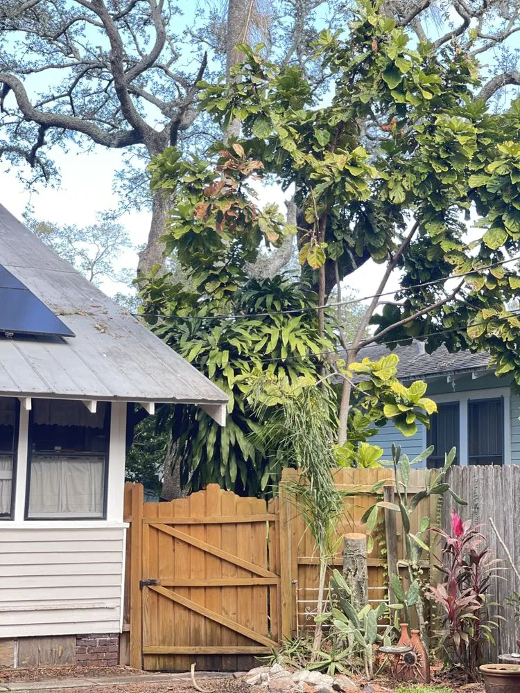 Professional outdoor landscaping experts serving Tampa, FL - Merion Landscape Services