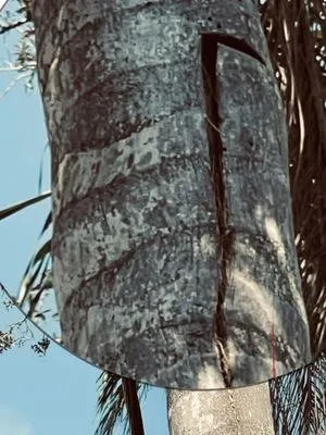 Merion Landscape Services Logo