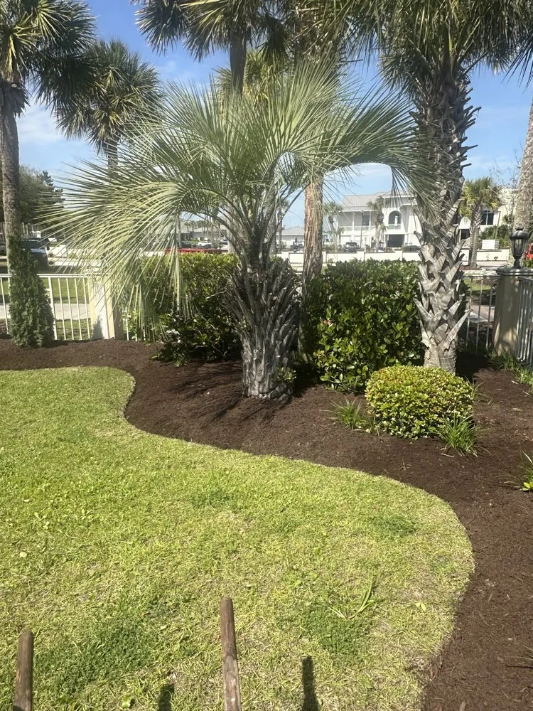 Reliable residential landscaping near you in Little River, SC by Merismel Landscaping